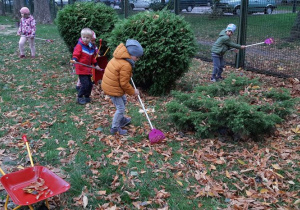 Dzieci grabią liście i zbierają je na taczki.