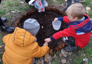 Dzieci sadzą cebulki kwiatów.