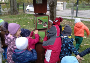 Dzieci oglądają tablicę z różnymi odmianami ptaków.