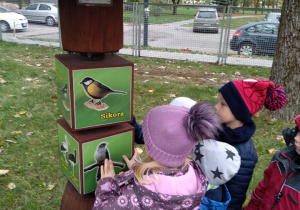 Dzieci oglądają tablicę z różnymi odmianami ptaków.