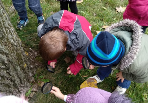 Dzieci oglądają drzewo przez lupę.