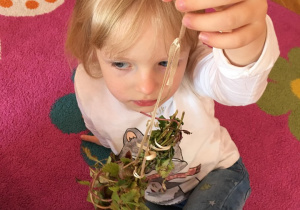 Dziewczynka prezentuje zebrane zioła.