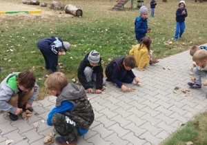 Dzieci w ogrodzie kucają na ścieżce. Układają na niej liście.