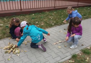 Cztery dziewczynki na ścieżce układają wzory z liści.