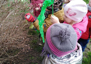 - Dzieci z zielonymi gałązkami z bibuły oglądają wiosenny krzew