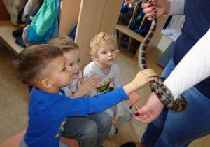 Dzieci dotykają węża oplecionego wokół ręki osoby dorosłej.