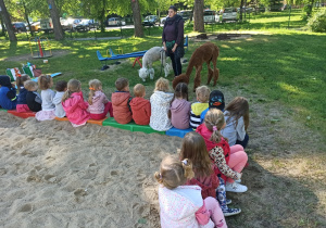 Dzieci siedzą na piaskownicy, przed nimi stoi pani z dwoma alpakami.