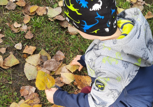 Chłopiec zbiera liście w ogrodzie przedszkolnym.