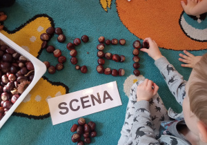 Chłopiec siedzi na dywanie i układa z kasztanów wyraz „scena”, wzorując się na kartce, która przed nim leży.