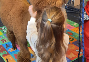 Dziewczynka przytula się do brązowej alpaki.