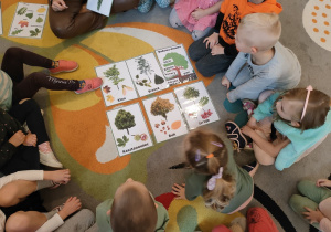 Nauczycielka pokazuje dzieciom ilustracje drzewa i nasiona oraz owocu, który daje dane drzewo.