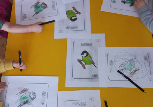 Dzieci przy stoliku kolorują według wzoru ptaki - sikorki.