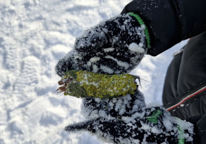 Chłopiec trzyma w rękach kawałek mchu znaleziony pod śniegiem.