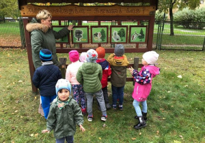 Dzieci oglądają tablicę edukacyjną – drzewa w ogrodzie przedszkolnym.