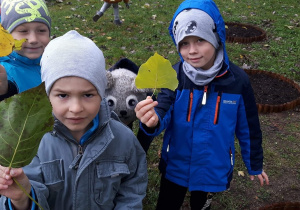 Dzieci w ogrodzie przedszkolnym trzymają w rączkach liście.