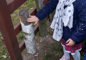 Dziewczynka dotyka kory drzewa na tablicy edukacyjnej w ogrodzie przedszkolnym.