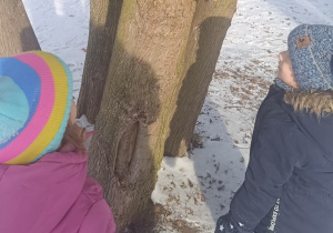 Dzieci patrzą na zawieszony na drzewie lodowy witraż.